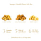 Gourmet Popcorn | 1 x 6oz Bag